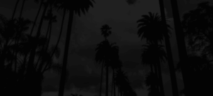 store-detail-bg-300x136