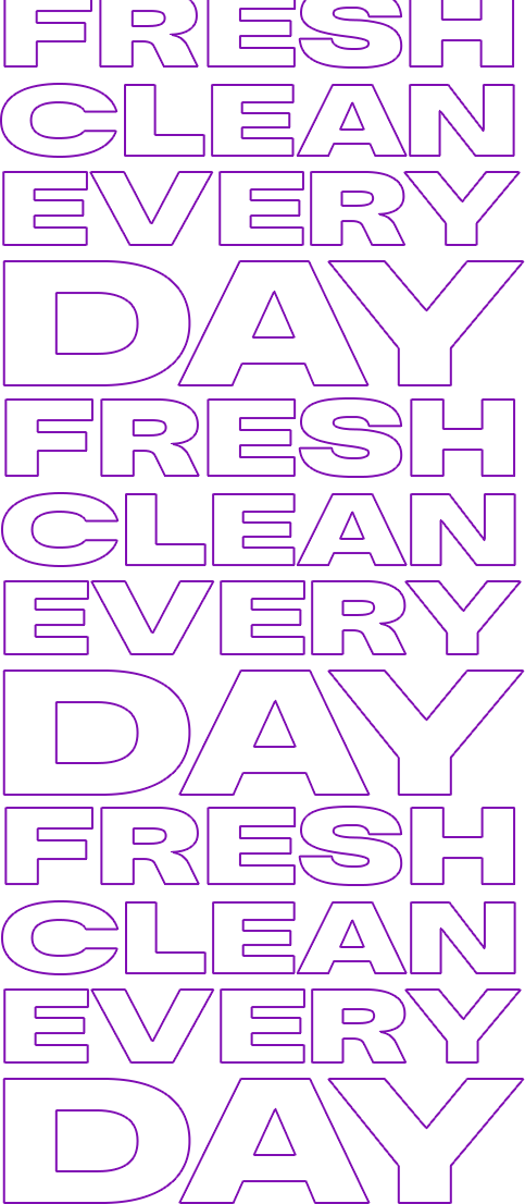fresh clean everyday
